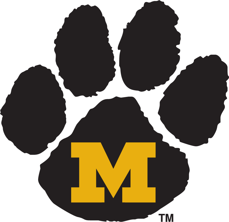 Missouri Tigers 1995-1999 Primary Logo t shirts iron on transfers